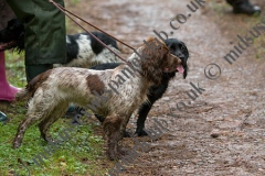 All Weathers