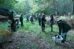 KC Working Gundog Certificate